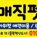 매직 펫 살롱 이미지