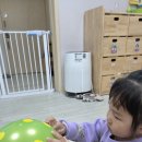 색깔 풍선과 가을 나뭇잎으로 꾸며보는 즐거운 하루🎨 이미지