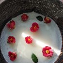 (주)마켓장보고
