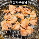 밤새우는닭 신당점 | 대구 월성동 맛집 숯불 닭갈비 밤새우는닭 신월성점