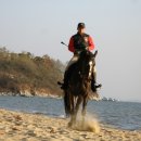 승마랜드 이미지