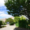 약사초등학교병설유치원 이미지