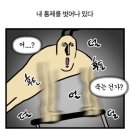 양양살롱