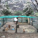 다래민박 이미지