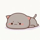 하남태권도 이미지