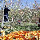 대봉축산 이미지