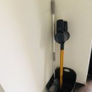 제주애아리 이미지