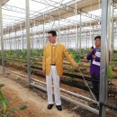 팔금농장 이미지