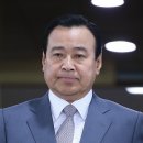 투투개구리 이미지