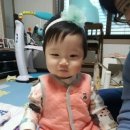 화산체육관 이미지