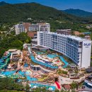 스플라스리솜 이미지