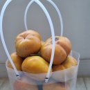 삼인농장 이미지