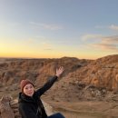 돌산가축 이미지