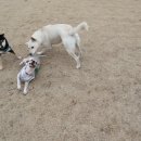 (주)라라 이미지