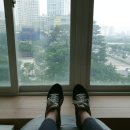 정자우리들약국 이미지