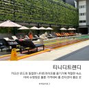 패밀리&푸드 대승구내식당 | 태국 방콕 카오산로드 가성비 숙소 티니디트렌디 호텔