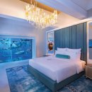 산호호텔 이미지