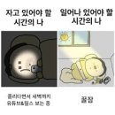 엔터핏