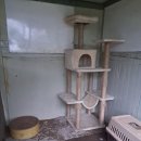 동물보육원 이미지