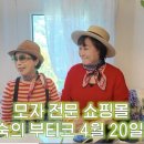 박원숙 카카오 검색결과
