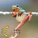 무념무상 이미지