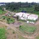 vivere 906 이미지