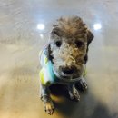 JM메디칼 이미지