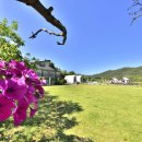 퍼피게스트하우스 이미지