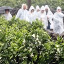 신효동-21 이미지