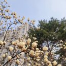 당진중앙장례식장