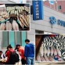 강진9호 이미지