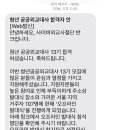일로-13 | [반크] 청년 공공외교대사 13기 합격 후기