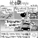 내곡란제리