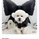 네임드 살롱 이미지