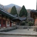 무지개다리화장실 이미지