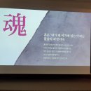 화이트21 이미지