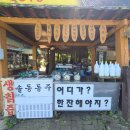 월악가든 - 제천시 | 월악가든