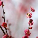 시립미술관(팔각정) 이미지