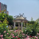 장미공원 주차장 입구 이미지