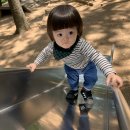 내원정사 옆 티스토리