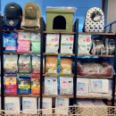 착한언니 애견살롱 이미지