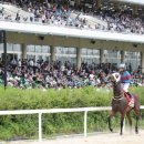 마이드림 이미지