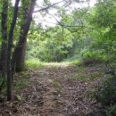 대자연농원 이미지