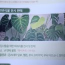 원플라워투어 이미지
