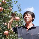 포천사과영농조합법인 이미지