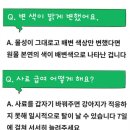 (주)하얀 | 주트립사료, 설사 걱정 없을까? 하얀사료 먹여본 후기