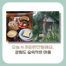 [강원도 맛집]오늘N 커피한잔할래요? 홍천 목수가 만든 작은 숲속 마을 디저트 카페 정보(+예약, 방문꿀팁)