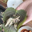 김용성구천동 이미지