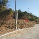 에이스 펜션 이미지