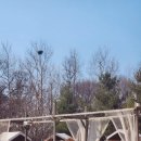 강화캠핑파크 | 강화도 카라반 추천 강화캠핑파크 내돈내산 총정리